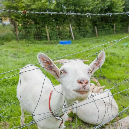 3 Bed In Bruckless Oc-i292 Дом отдыха Milltown (Donegal)