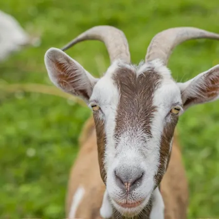 Holiday home 3 Bed In Bruckless Oc-i292 *