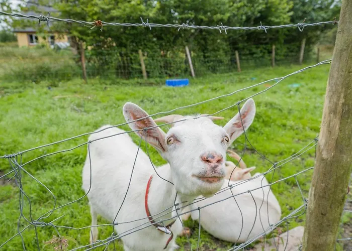 3 Bed In Bruckless Oc-i292 別荘 Milltown (Donegal)